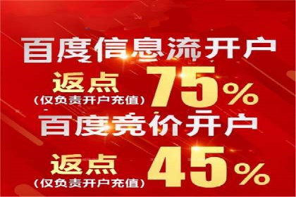 深度解析：百度推广代运营的成功要素